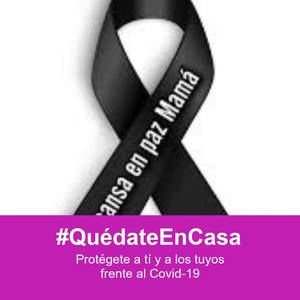 Meet your Posher, Josie